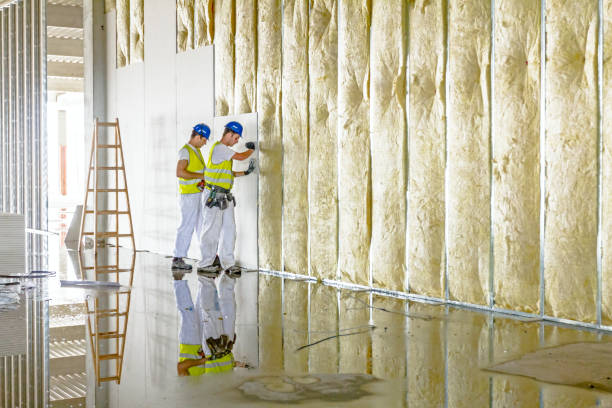 Best Insulation Inspection Services  in Fris, CO